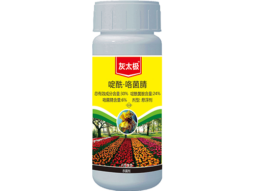 灰太极