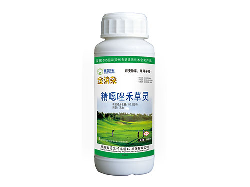 金消杂