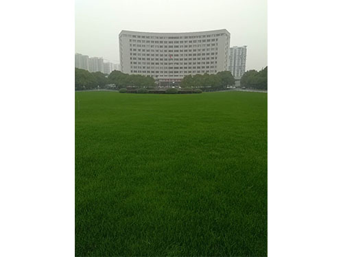 除杂后2个月