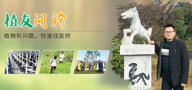 株洲植友职业培训学校有限公司